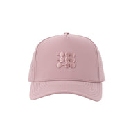 #color_dusty rose
